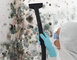 Why You Should Choose Our Mold Remediation Services in Bedford, IA